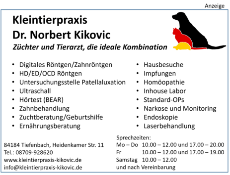 Kleintierpraxis Dr. Kikovic - Lasertherapie -