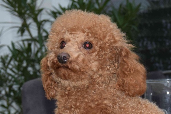 Bahia von St. Ägidius